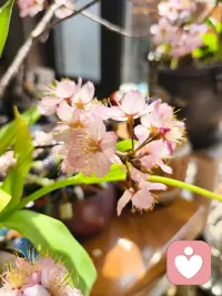 余生好好善待自己，你的人生，从来不是用来讨好任何人的。