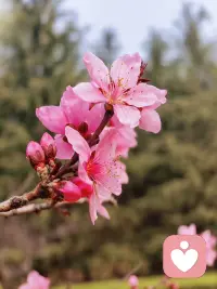 当你专心把自己的日子过顺了，你会原谅很多事。因为生活如此美好，你懒得跟这个世界较劲。