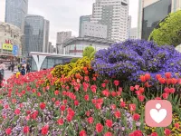 幸福的本质不是惊天动地的狂喜，而是持续收集微小雀跃的能力。