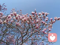 陪伴，才是最长情的告白。
是一餐一饮的人间烟火，也是一朝一夕的四季流转，是一生一世的风雨同舟，更是一心一意的执手白头。
愿你：在细微处窥见真心，在珍惜中收获幸福。

​配图