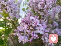 愿你，每一次发出，都有回应，愿你，每一份真心，都被珍惜。