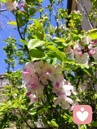 有句话说：情绪是一把枪，当我们扣动情绪的扳机，枪口其实是对准了自己。所有坏情绪，最后买单的都是自己。遇事保持冷静，稳住情绪，就是人生的护身符。