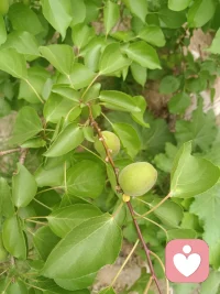 暂停情绪的漩涡，回到呼吸的港湾。去感受阳光的暖意、茶水的温度，让正念带你回到当下这个鲜活的生命现场。配图