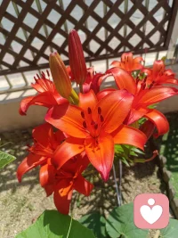 内心有光的人，并非总是一帆风顺，但他们总能心怀热爱、乐观向上，为了自己的热爱和梦想勇敢前行，不轻易言弃。