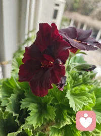 天地万物都在治愈着你，唯有你自己不肯放过自己……