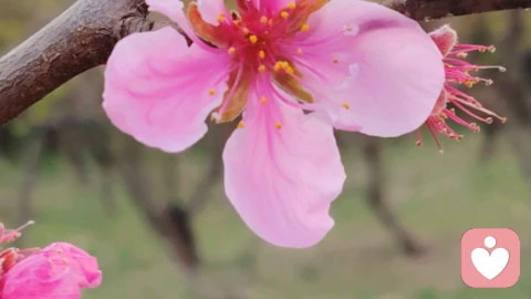 做qi82\n做倾听师的第一天