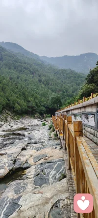 来大山深处，做一日闲人，在这里，空气都是甜的，每一次吸气，都是高浓度负氧离子的洗礼；每一次呼气，都带走了积压已久的焦虑与疲惫。
阳光透过树叶的缝隙洒下斑驳光影，耳边是风过林梢和山涧清泉的合奏。在这片天然疗愈氧吧里，不需要刻意寻找方向，因为每一步，都是走向内心的归途。
把烦恼交给山风，把身体还给自然。配图