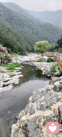 来大山深处，做一日闲人，在这里，空气都是甜的，每一次吸气，都是高浓度负氧离子的洗礼；每一次呼气，都带走了积压已久的焦虑与疲惫。
阳光透过树叶的缝隙洒下斑驳光影，耳边是风过林梢和山涧清泉的合奏。在这片天然疗愈氧吧里，不需要刻意寻找方向，因为每一步，都是走向内心的归途。
把烦恼交给山风，把身体还给自然。配图