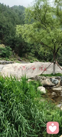 来大山深处，做一日闲人，在这里，空气都是甜的，每一次吸气，都是高浓度负氧离子的洗礼；每一次呼气，都带走了积压已久的焦虑与疲惫。
阳光透过树叶的缝隙洒下斑驳光影，耳边是风过林梢和山涧清泉的合奏。在这片天然疗愈氧吧里，不需要刻意寻找方向，因为每一步，都是走向内心的归途。
把烦恼交给山风，把身体还给自然。配图