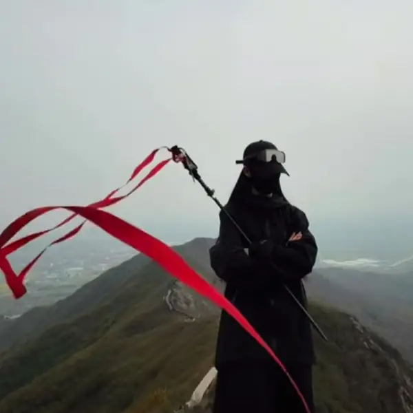 追赶太阳的向日葵