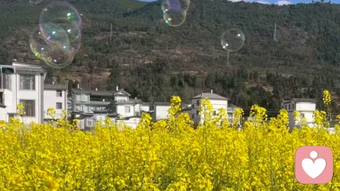 树洞的灯，为你亮着☼