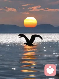 在语言的废墟上，重建灵魂的灯塔

倾听沉默，感受存在，让灵魂在黑暗中相互照亮。这不是宏大的拯救，而是微小却坚定的陪伴，是在彼此心里种下理解的种子。
当我们沉溺于社交媒体的喧嚣，习惯了用表情包和快捷回复掩盖真实情感时，是否也正在经历一场集体的失语?
真正的交流不在于表达多少，而在于是否愿意走进他人的沉默，是否能在寂静中触摸灵魂的震颤。在这个信息爆炸的时代，我们是否拥有在喧嚣中保持沉默的勇气，在表达中学会留白的智慧?
让我们在语言的废墟上，以沉默为光，以共情为火，照亮那些被世界遗忘的角落。
真正的沟通，往往始于对沉默的尊重与理解。