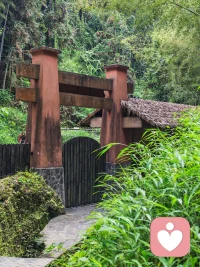 生命是相互影响的……

在别人的故事里，我们同时也看见了自己，故事不只连结了我与他人，更进一步连结了我与自己。

这就是叙说故事的影响力。因为彼此的生命在故事里现身，于是更深刻的相互影响就发生了，这也就是为何叙事治疗强调听故事、说故事，因为故事可以承载活生生的生命，可以更自然地产生影响人的力道。

我是后现代家庭、叙事流派为主的心理咨询师，期待聆听您的生命故事，也期待透过故事连接你我，相互影响生命。
