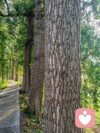 认识一个人正在经历的事，原来对人就是很满足的。我愿意在这里全心聆听你的故事，你愿意来诉说诉说吗？
