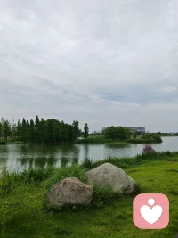 本周工作日暂停开放倾听时间，周末两天恢复！给大家带来不便，请见谅哈！