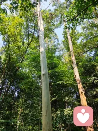 今日开放倾听时间已出，请查收！
10-12，14-15，17-18，20-23