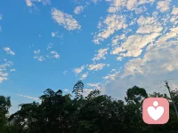 本周开放倾听时间：
周一晚上21-23点
周二晚上22-23点
周四晚上21-23点
周五晚上22-23点
周末两天暂不开放