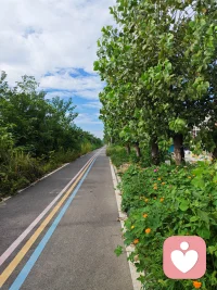 本周开放倾听时间：

周一、周四、周日：18：30—22：00

周二：20：30—22：00

周六：10：00—12：00
            15：00—17：00
            18：30-20：30

请需要倾诉的来访提前预约锁定时间，不接待临时来访哦！