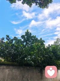 荣格有句被反复引用的话：

“当潜意识不被觉察，它就是你的命运。”

反过来也可以说：

当潜意识被语言化、被关系化、被反复看见，命运就开始松动。

自由不是没有过去，而是不再被过去无声地替你决定。