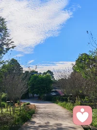 这个时代节奏太快，我们总是风风火火，匆匆忙忙，早已丢失了自己的心。请等一等你的心的安顿，才能读懂心底的声音！