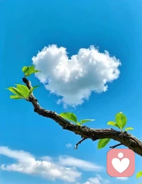 我相信赤诚的真理和无条件的爱将在现实中有最后的话语权—马丁•路德•金