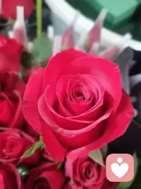 做一个耐心的倾听者，接住你的疲惫、委屈和迷茫。你可以放心说，我一直都在。配图
