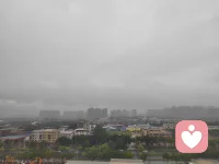 我们的城市今天下雨了，今天你们那里下雨了吗？配图