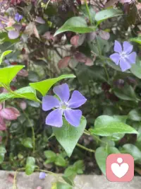 因为自己淋过雨，所以想为你撑把伞