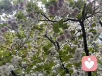 因为自己淋过雨，所以想为你撑把伞