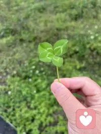 因为自己淋过雨，所以想为你撑把伞