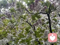 风雨之中与你同行