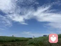 风雨之中与你同行