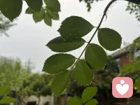 风雨之中与你同行