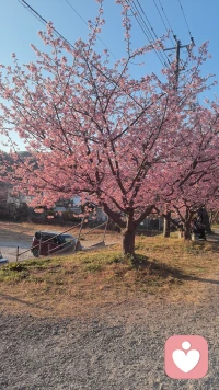 人这一辈子，就像赶路，有时快有时慢，重要的是别错过路边的花。遇到坎儿别钻牛角尖，转个弯可能就有光。把每天的小确幸攒起来，日子就会变得有滋味。