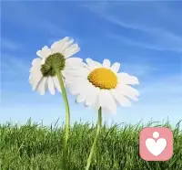 人的幸福从来不是等来的，而是自己亲手栽种的。你可以为自己泡一杯喜欢的茶，读一本想读的书，或是在阳台养一盆会开花的植物。把注意力放回自己身上，去做那些能让心慢慢变暖的事，幸福就会在这些细碎的坚持里，悄悄生根发芽。配图