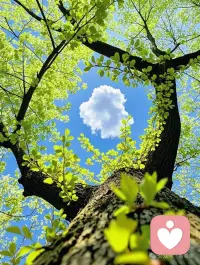 今日分享的是《活法》
爱是相互照亮，不是彼此消耗。生活已经够累了，如果爱不能给你力量，又不能给你提供情绪价值，也没有陪伴，更没有物质，还要消耗你的情绪，那爱的意义是什么？相逢的意义在于彼此照亮，否则一个人淋雨也浪漫，吹风也清醒。当坚持只剩下内耗，放手或许是对自己的温柔成全。我们常误以为爱是奋不顾身的追逐与妥协，却忘了它的本质，应是温暖与滋养。那些消耗热情的敷衍，填满委屈的沉默，从来都不是爱的模样。真爱是相互照亮，让彼此成为更好的自己，在关系中找到归属与成长。