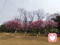 人这辈子，出身定一半，自己活一半。
不羡慕、不攀比、不内耗，
把心放宽，把日子过顺，
心情好，比什么都值钱。配图