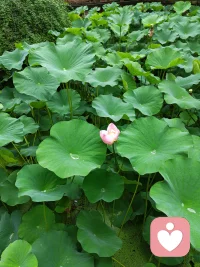 幸福是什么？
眼中景、碗中餐、身边人、三餐四季、家人闲坐、幸福安康、灯火可馨，便是人间好风景！配图
