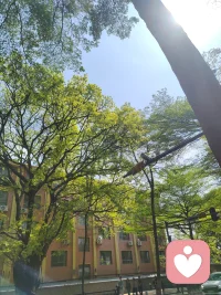 在线倾听，欢迎找我聊聊哦配图