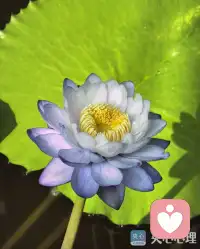 昨天听到一句话很有力量，分享给你，勇士脚下都是路，懦夫脚下是悬崖，加油，为了生活努力的我们