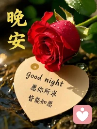 平淡的日子里，藏着最踏实的幸福。
晚安，愿你梦里有星光，醒来有温柔。配图