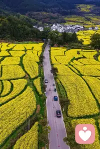 你好，倾听师已上线，我在安静的等待每一位倾听者，倾听你的心灵配图