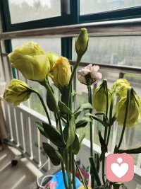 此刻的心情像一杯温温的蜂蜜水，不浓烈，却足够熨帖。慢慢接纳自己的不完美，允许一切发生，也是一种心理上的成长。