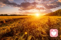 我是一名温柔耐心的倾听者，不评判、不打断，愿意安静听你说所有心事。在这里，你可以放心表达，被理解、被接纳、被温柔对待。配图
