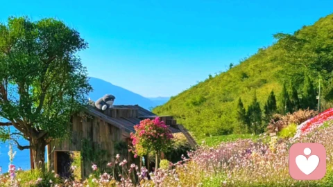 因为热爱，所以喜欢