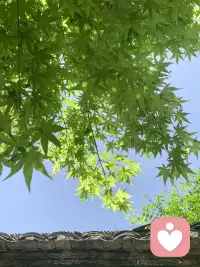 我听过很多人说“我没事”，可声音在发抖。
有些眼泪不是软弱，是撑了太久。
你不必急着好起来，慢一点也没关系。
倾诉不是解决问题，是让自己被看见。
你愿意说，我就愿意听。配图