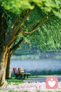 入驻给力心理第三天了，后台依然安安静静，没有清听热线，也没有咨询信息。
说实话，点开看了好几次，每次都是“暂无数据”。说不急是假的，但我更愿意把这当成平台给我的缓冲期——让我再多熟悉熟悉，把专业再提升一下，把自己调整到最好的状态再出发。
认可一个平台，就给它一点时间，也给自己一点时间。我相信好饭不怕晚，也相信真诚和专业终会被看见。
现在要做的，就是沉下心，把每一个细节准备好。等风来的时候，我已经站在最合适的位置。
慢慢来，会好起来的。🍀配图