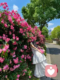 人们很多的痛苦纠结，有时候是困在自己的想法、认知里，走不出来。
很多痛苦，不是事情本身有多难，是我们在心里把路想窄了。门开着，却一直盯着墙看。配图