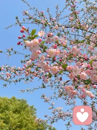 夜深了，你还没睡。那些翻来覆去的心事，不知道找谁说，也不知从何说起。其实你不是想解决问题，你只是需要一个人，安安静静听你说完。如果你愿意，我在这里。不用假装没事，不用组织语言。想说什么就说，不想说就沉默。我在这头，陪着你。配图