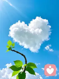 有些话说出来可能会更好，憋久了的心事，会在夜里翻来覆去。说出来未必有答案，但至少，风会轻一点，夜会短一点。我在这，静静听。配图